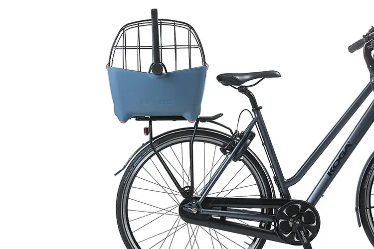 basil-buddy-space-frame-black.webp