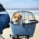 cage-de-protection-pour-chien-basil-buddy.webp