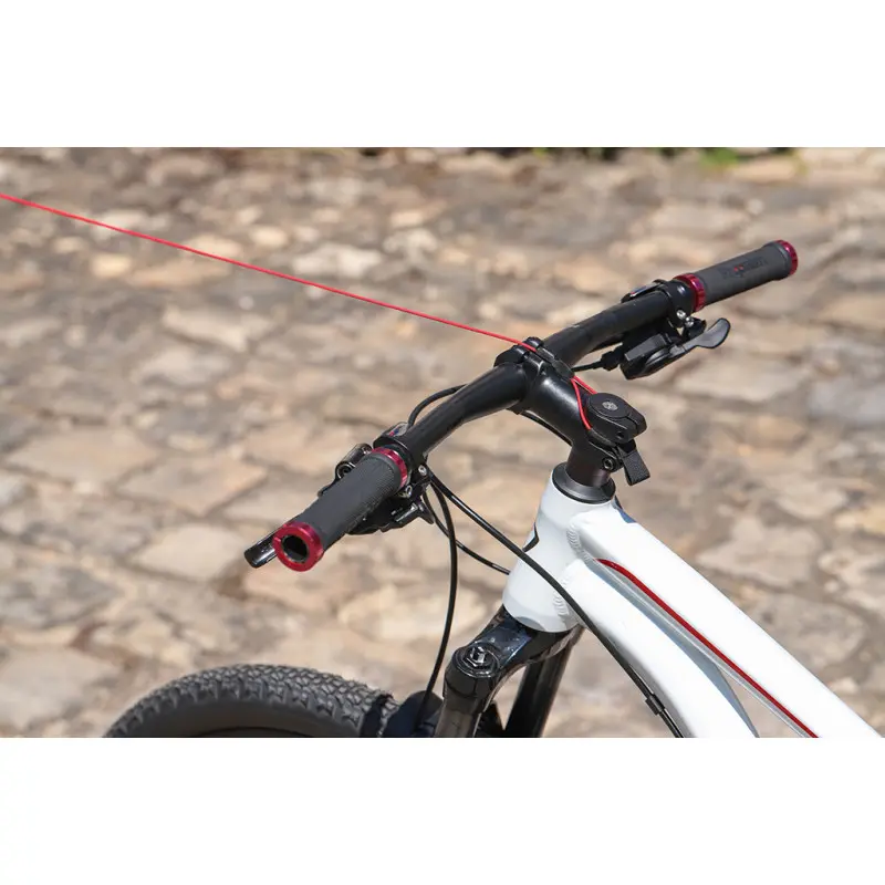 bike-taxi (4).webp