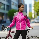 pink_-_day.webp